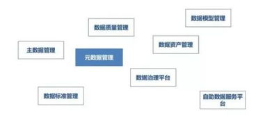 大数据治理 必备能力、关键技术及数据处理与存储支持服务